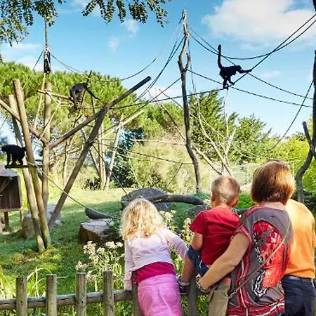 Apartmán Elegant Avec Balcon, Garage Et Wifi En Bord De - Fr-1-92-889 *