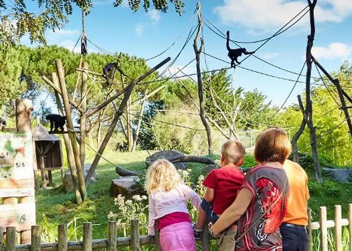 דירה Elegant Avec Balcon, Garage Et Wifi En Bord De - Fr-1-92-889 *